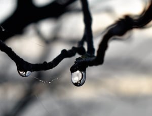 water droplet thumbnail