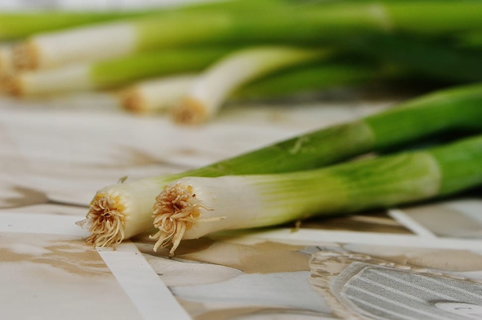 green spring onions preview