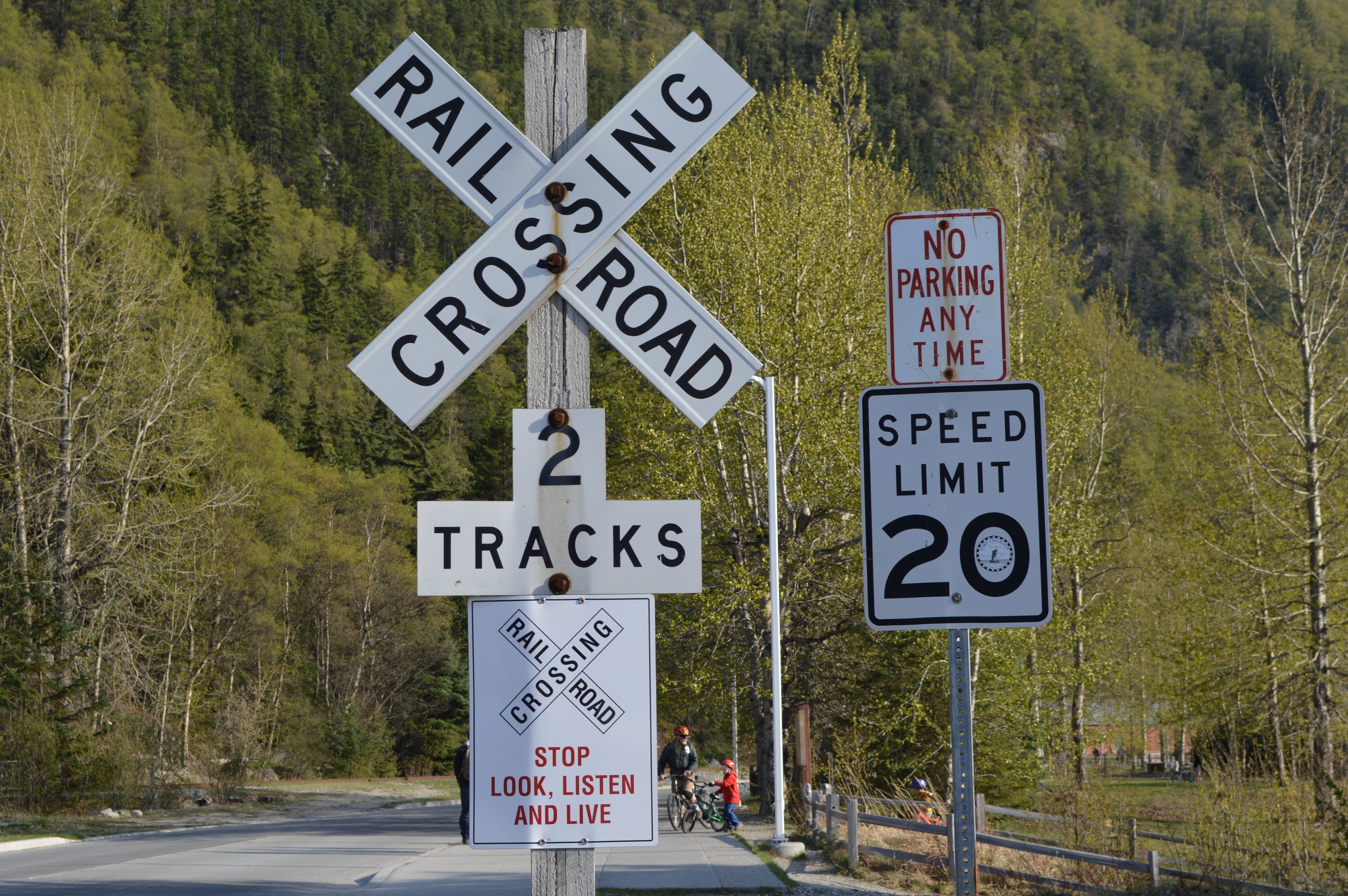 Traffic Signal, Skagway, Usa, Alaska, text, communication