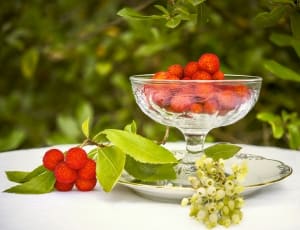 lychee fruits and clear sorbet glass thumbnail