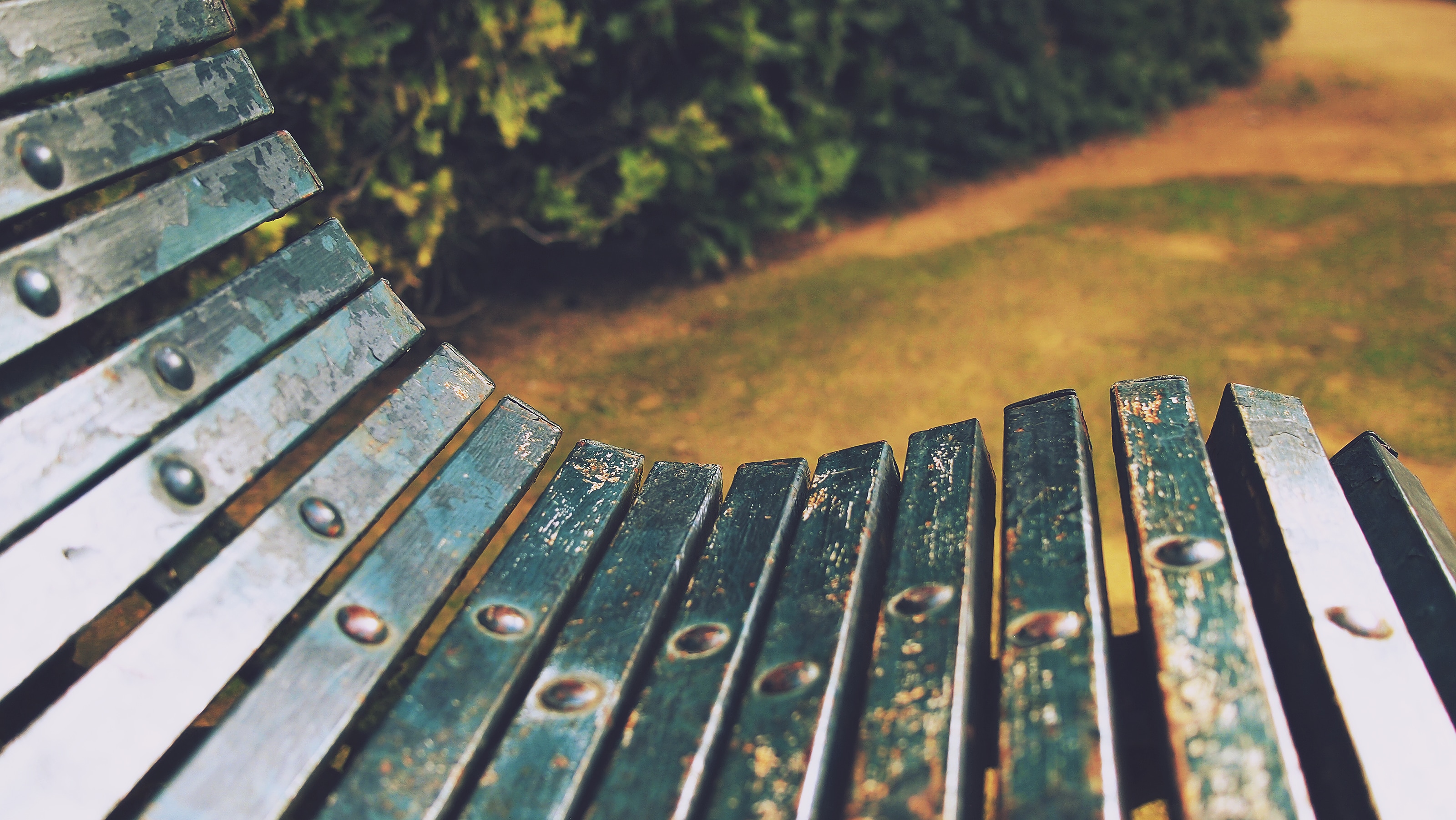 green wooden bench