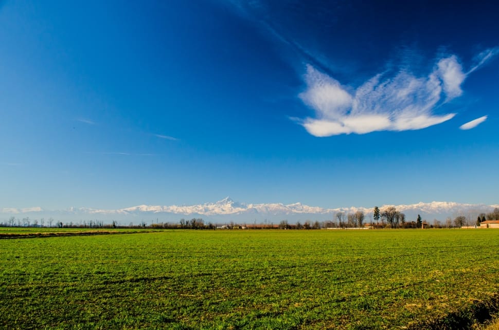 Landscape, Italy, Piemonte, Nature, agriculture, field preview