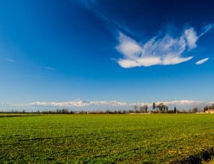 Landscape, Italy, Piemonte, Nature, agriculture, field thumbnail
