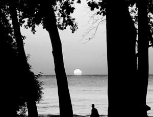 silhouette of person standing near tree and seaside during sunset thumbnail