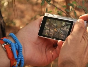 silver digital camera showing photo of nature thumbnail