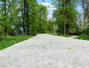 gray concrete pathway thumbnail