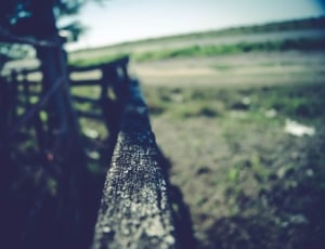 close up photography of brown wooden fence thumbnail