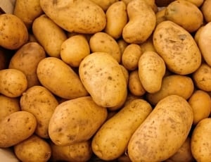 assorted brown potatoes thumbnail