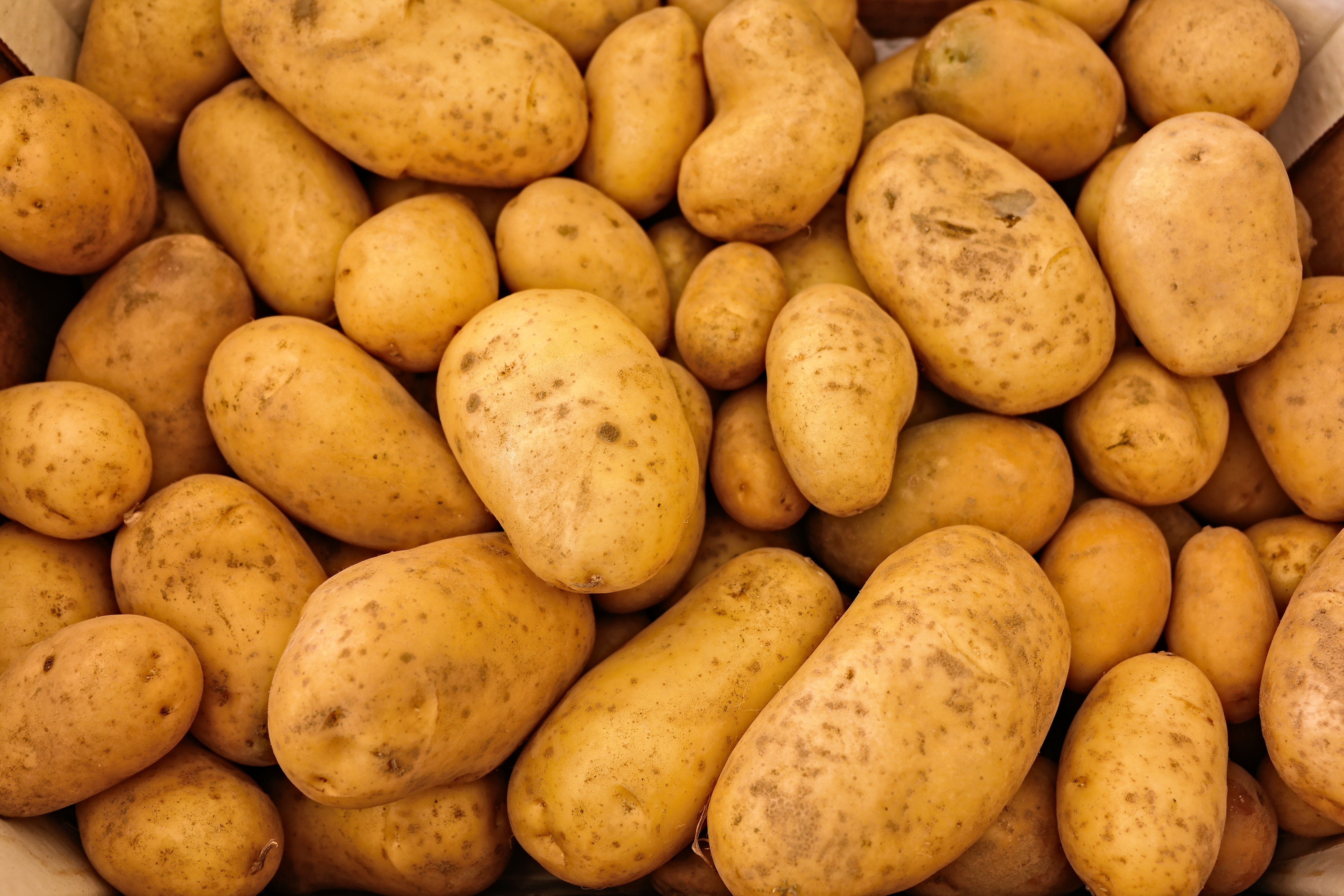 assorted brown potatoes