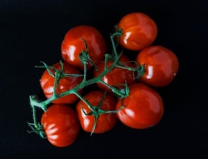 closeup photo of cherry tomatoes thumbnail