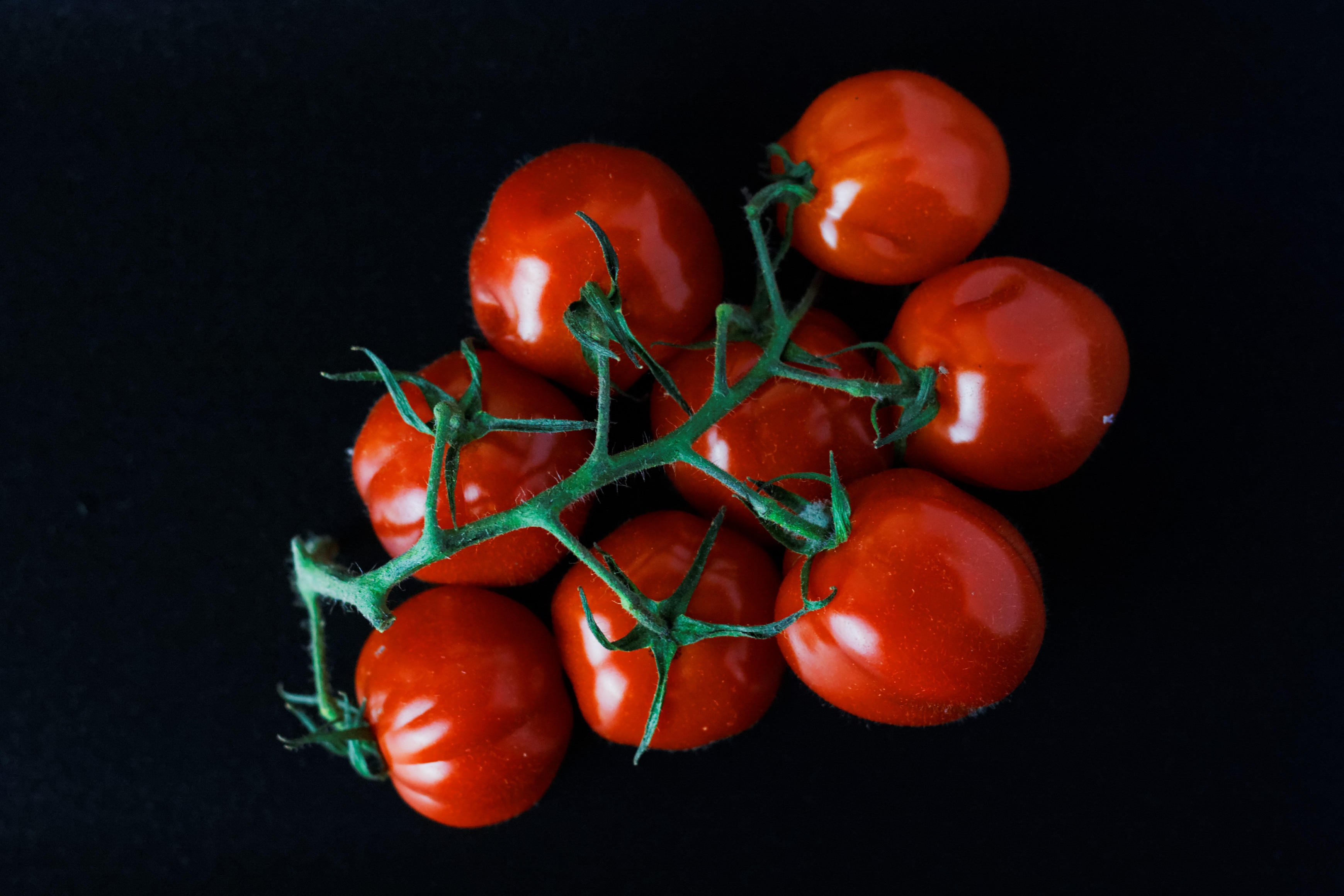 closeup photo of cherry tomatoes