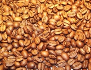 Coffee, Beans, Coffee Beans, Golden, food and drink, brown thumbnail