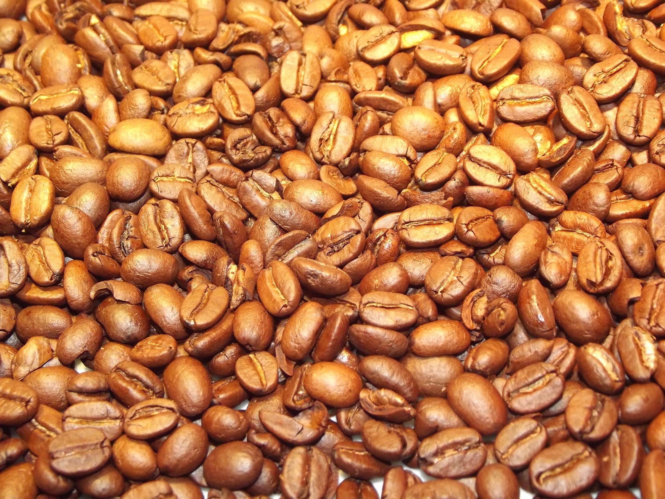 Coffee, Beans, Coffee Beans, Golden, food and drink, brown