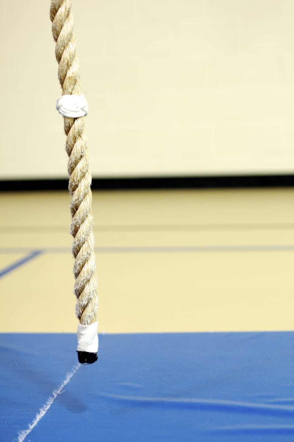 Rope, Climbing, Training, Gym, rope, strength preview