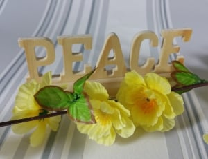 brown wooden peace signage thumbnail