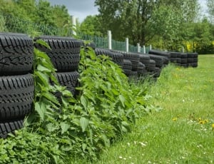 rubber tire lot on green yard thumbnail