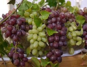 grapes and green grapes thumbnail