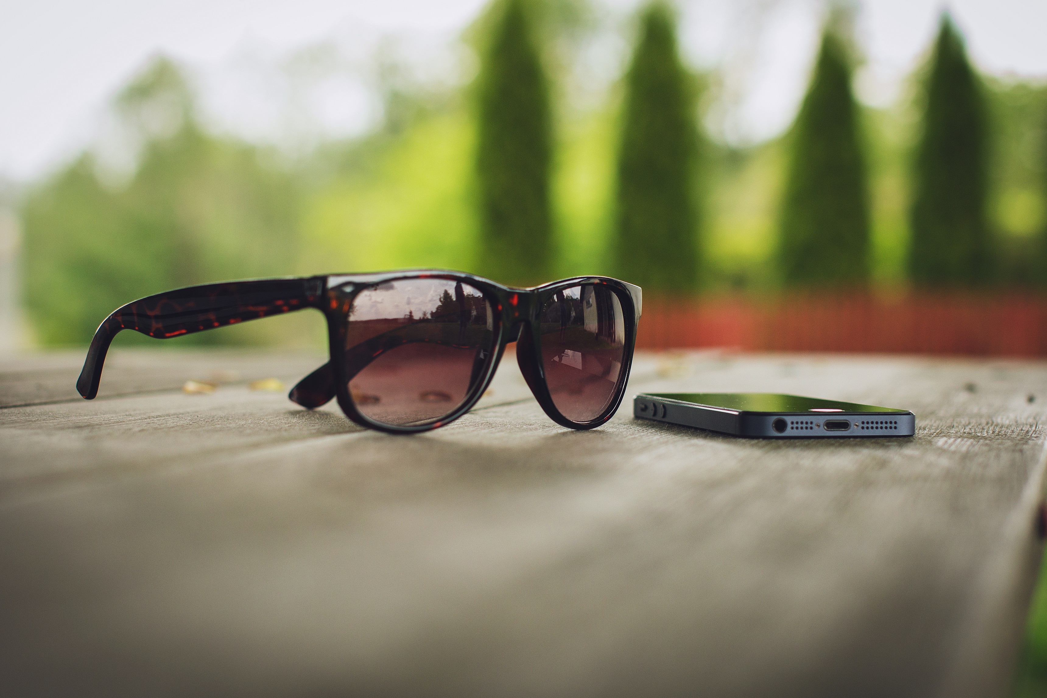 women's brown lens sunglasses