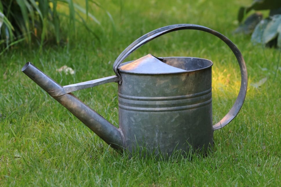 gray watering can preview