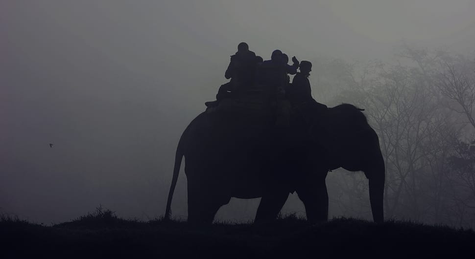 silhouette of people riding on elephant photography preview