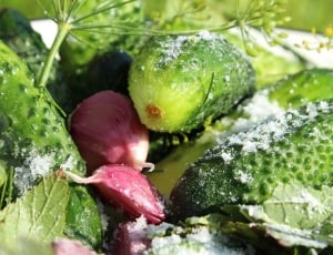 pink and green vegetables thumbnail