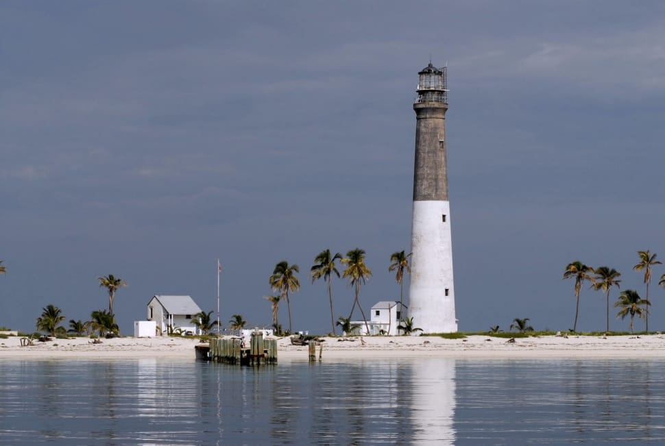 white and brown lighthouse preview