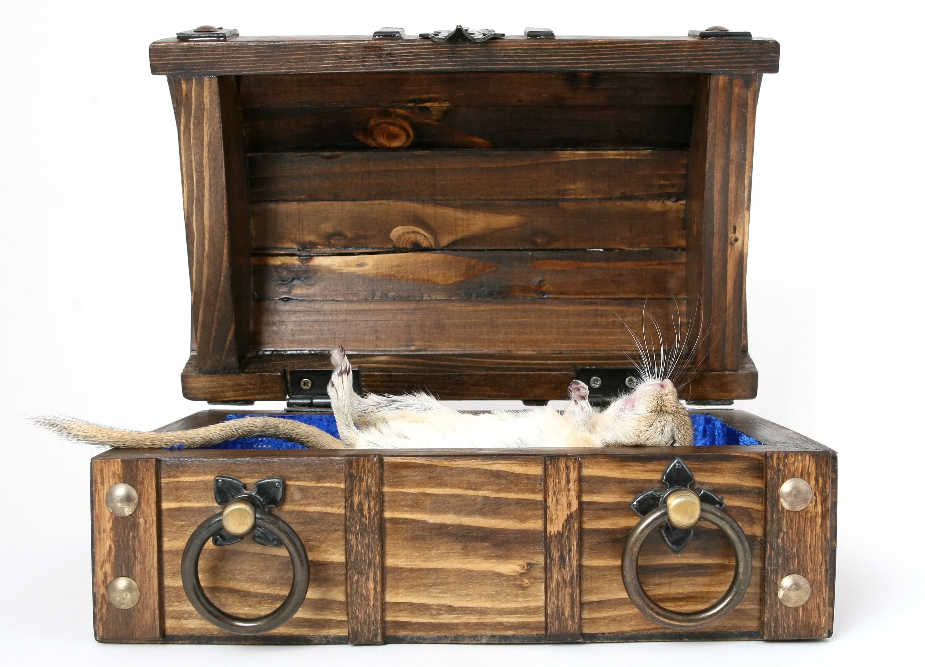 brown wooden chest box