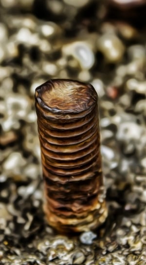 brown and black cylindrical bottle thumbnail