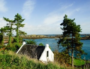 white and brown concrete house beside trees near sea during daytime thumbnail
