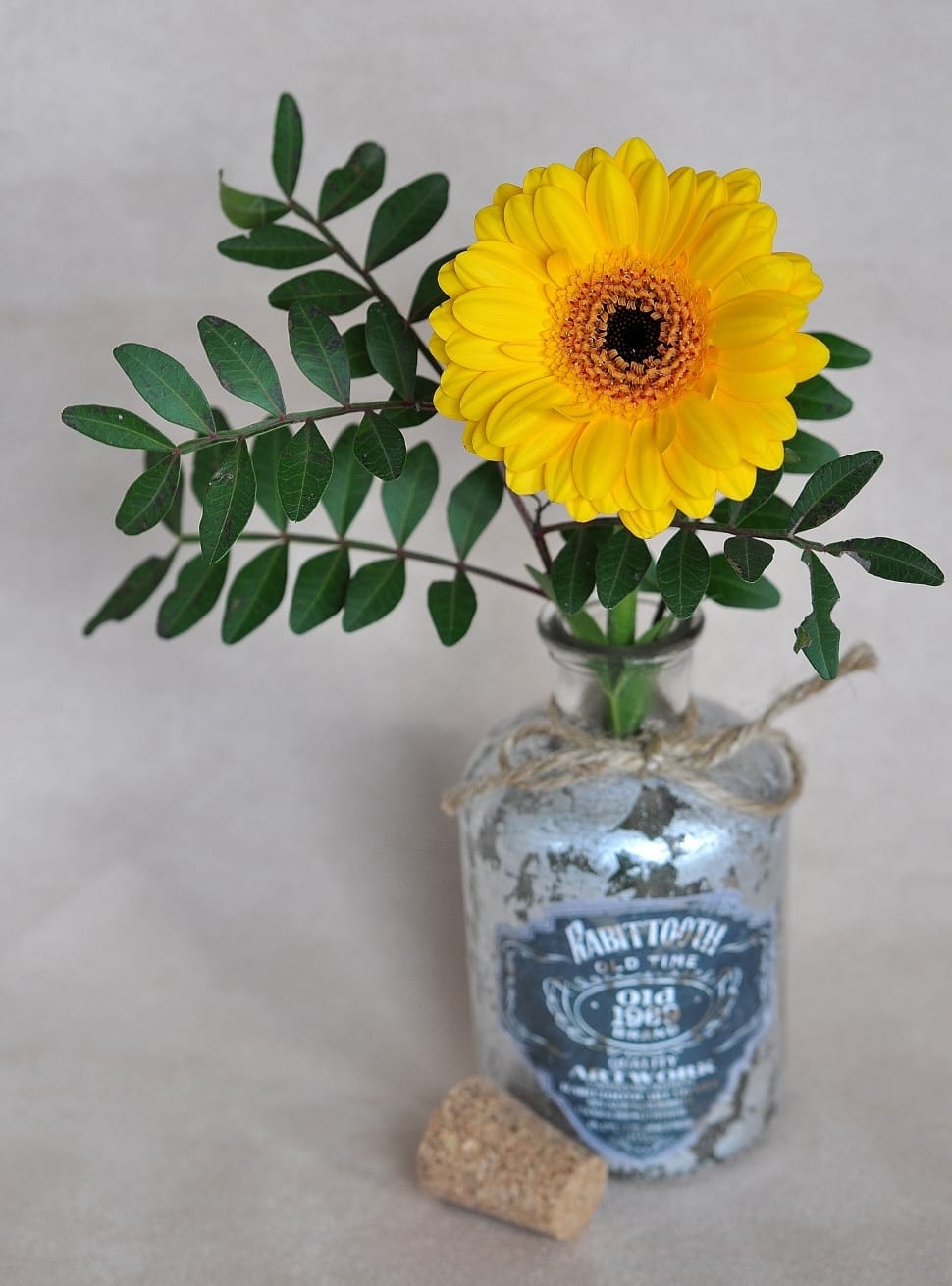 yellow petaled flower in bottle preview