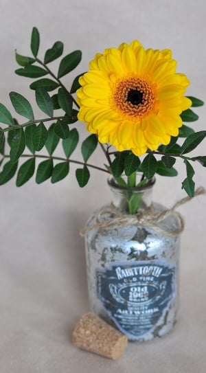 yellow petaled flower in bottle thumbnail