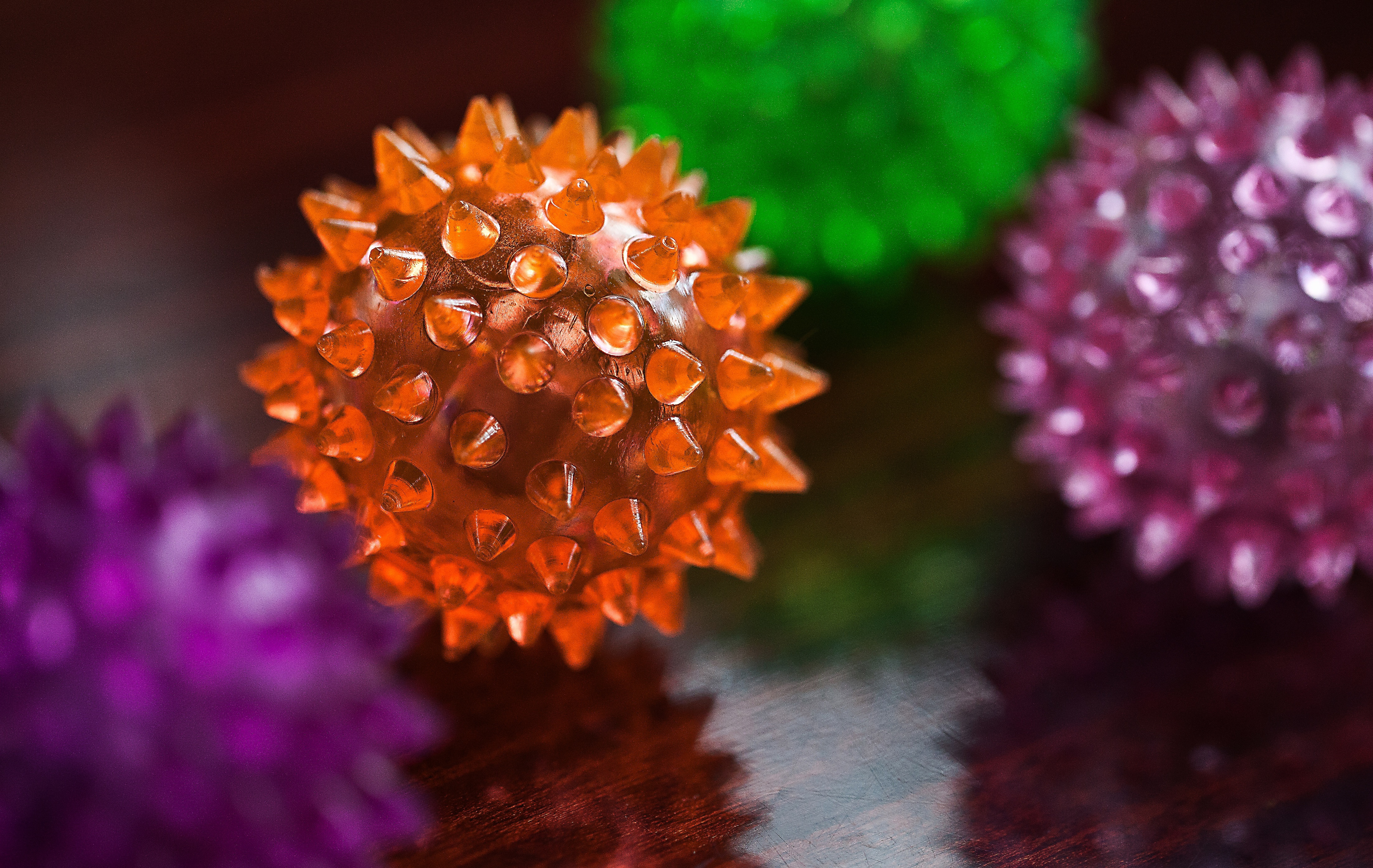 macro photography of pink spikey ball toy
