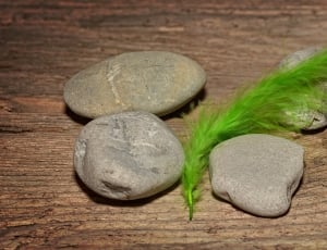 grey stone lot and green feather thumbnail