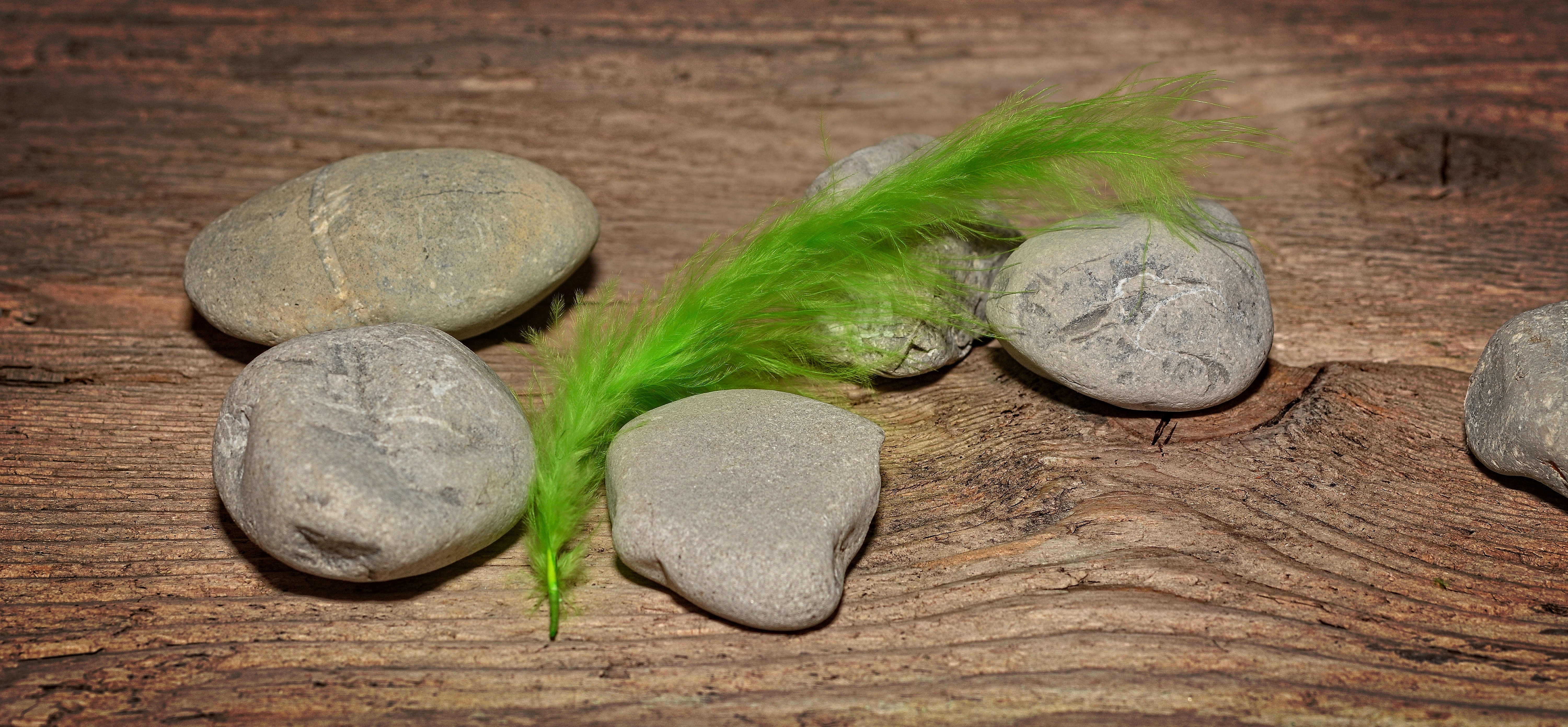 grey stone lot and green feather
