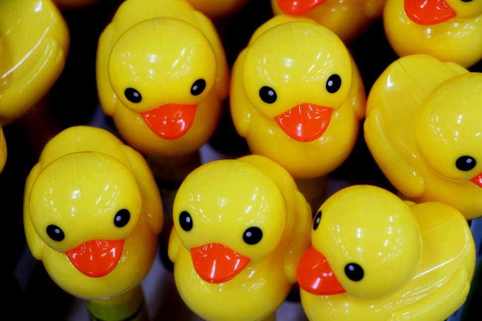Duck, Children'S, Toys, Cute, Toy, close-up, yellow preview