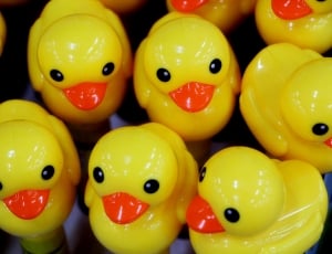 Duck, Children'S, Toys, Cute, Toy, close-up, yellow thumbnail