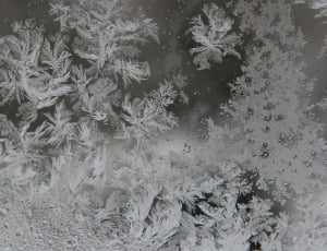 Frozen, Ice, Snow, Winter, Flake, Glass, snowflake, cold temperature thumbnail