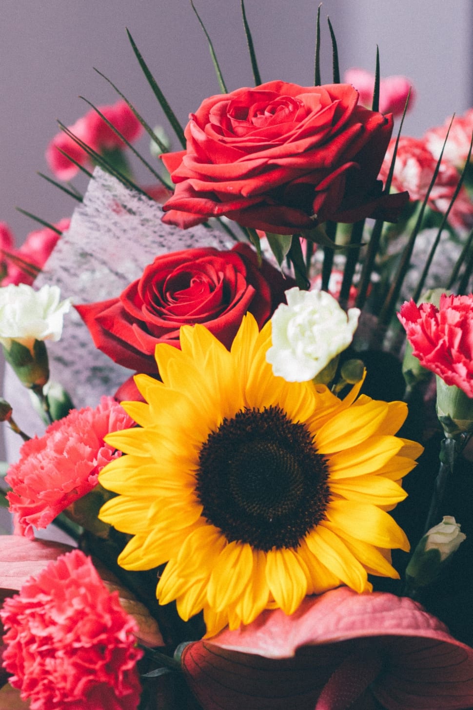 red roses and yellow sunflower preview
