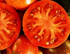 Vegetable, Fruit, Nature, Tomato, fruit, healthy eating thumbnail