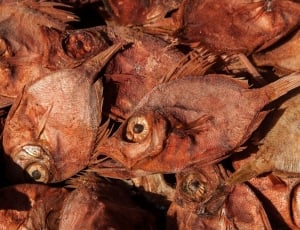 lot of brown dried fish thumbnail
