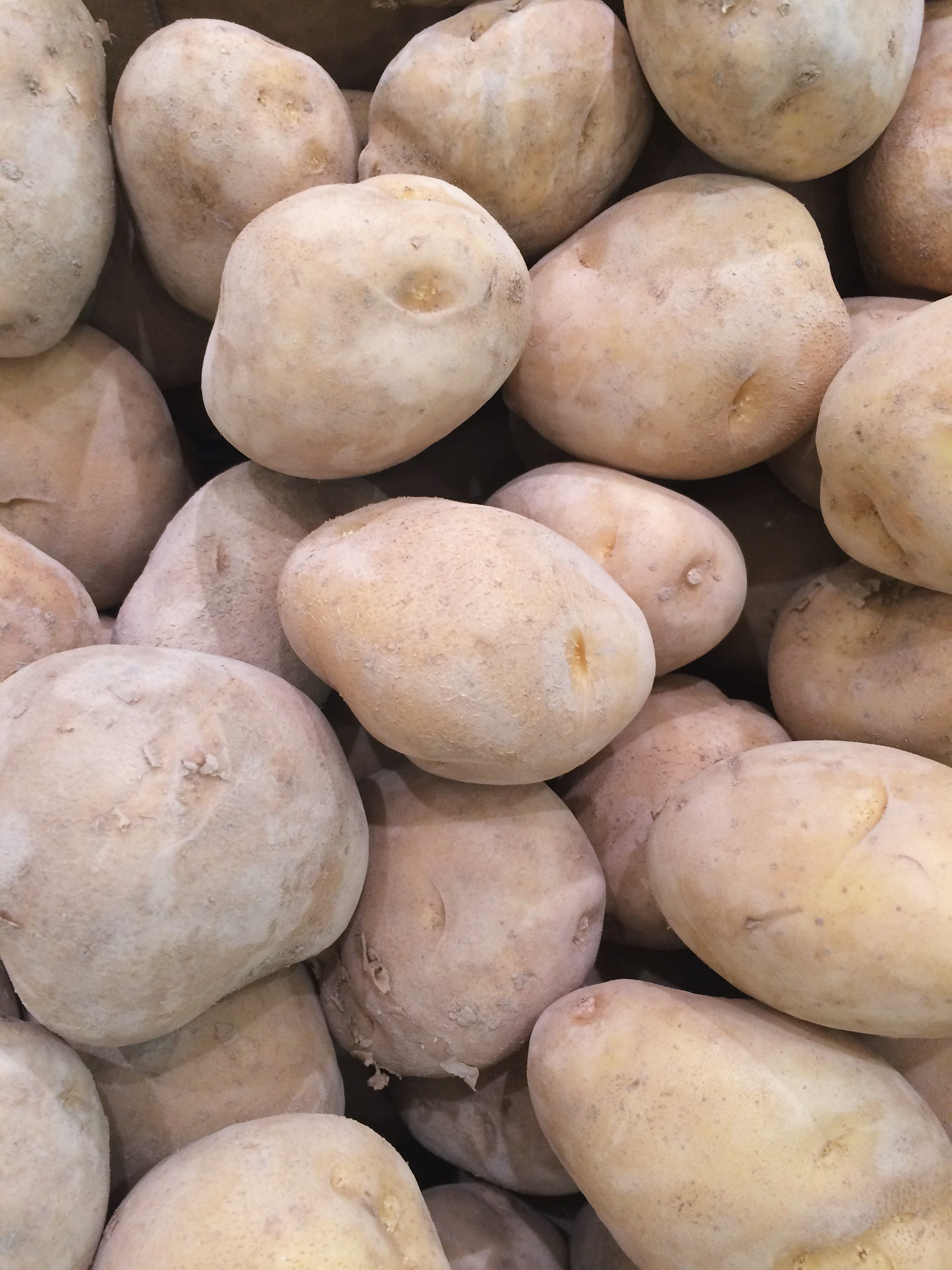 potatoes lot