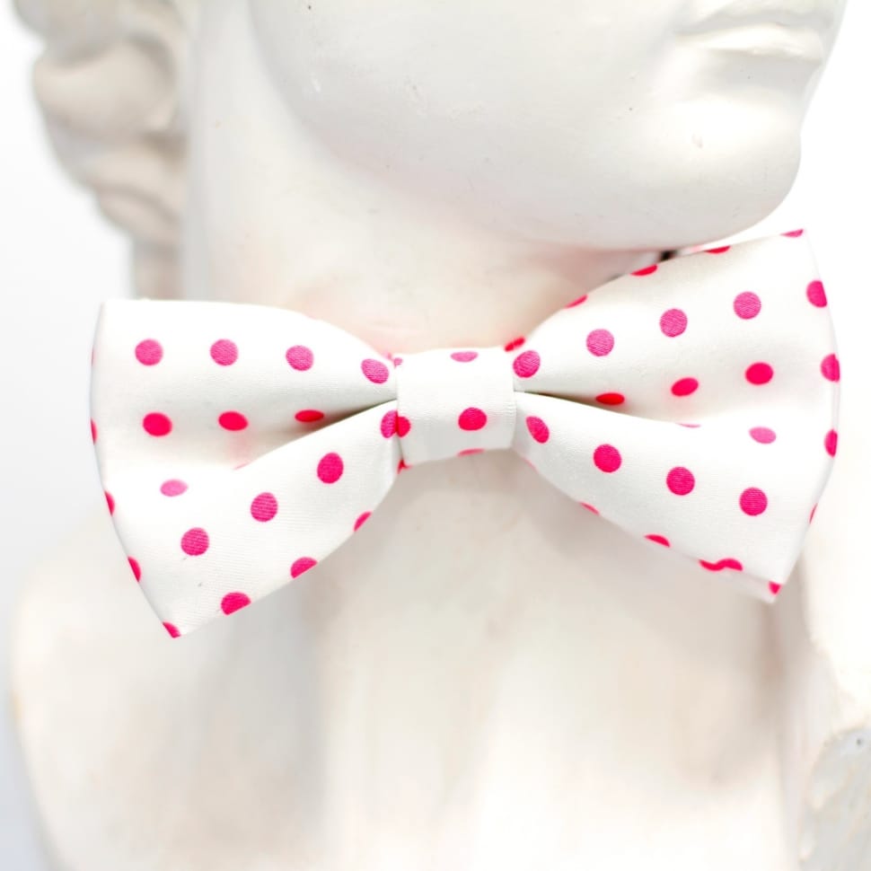 white with pink and red polkadot bow tie preview