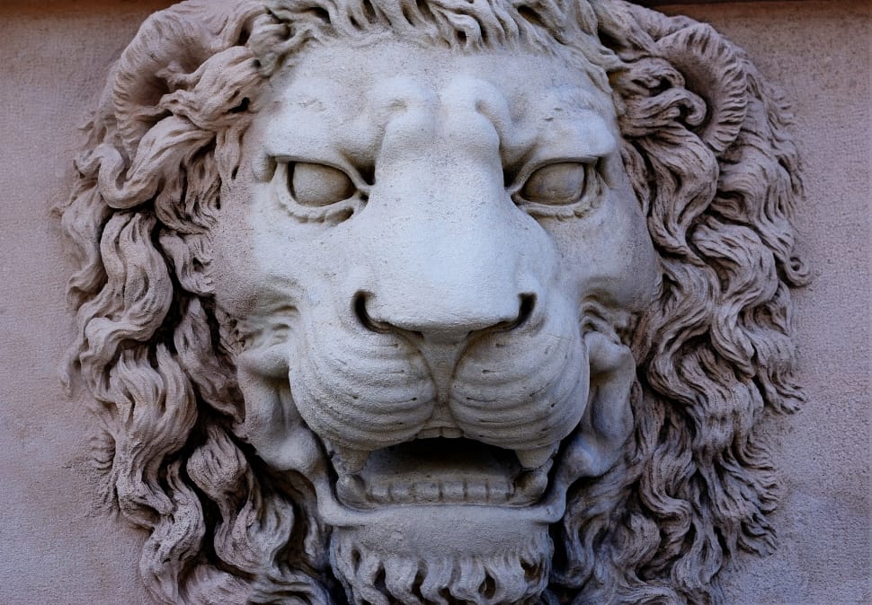 gray concrete lion statue head preview