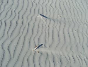 grey sand field thumbnail