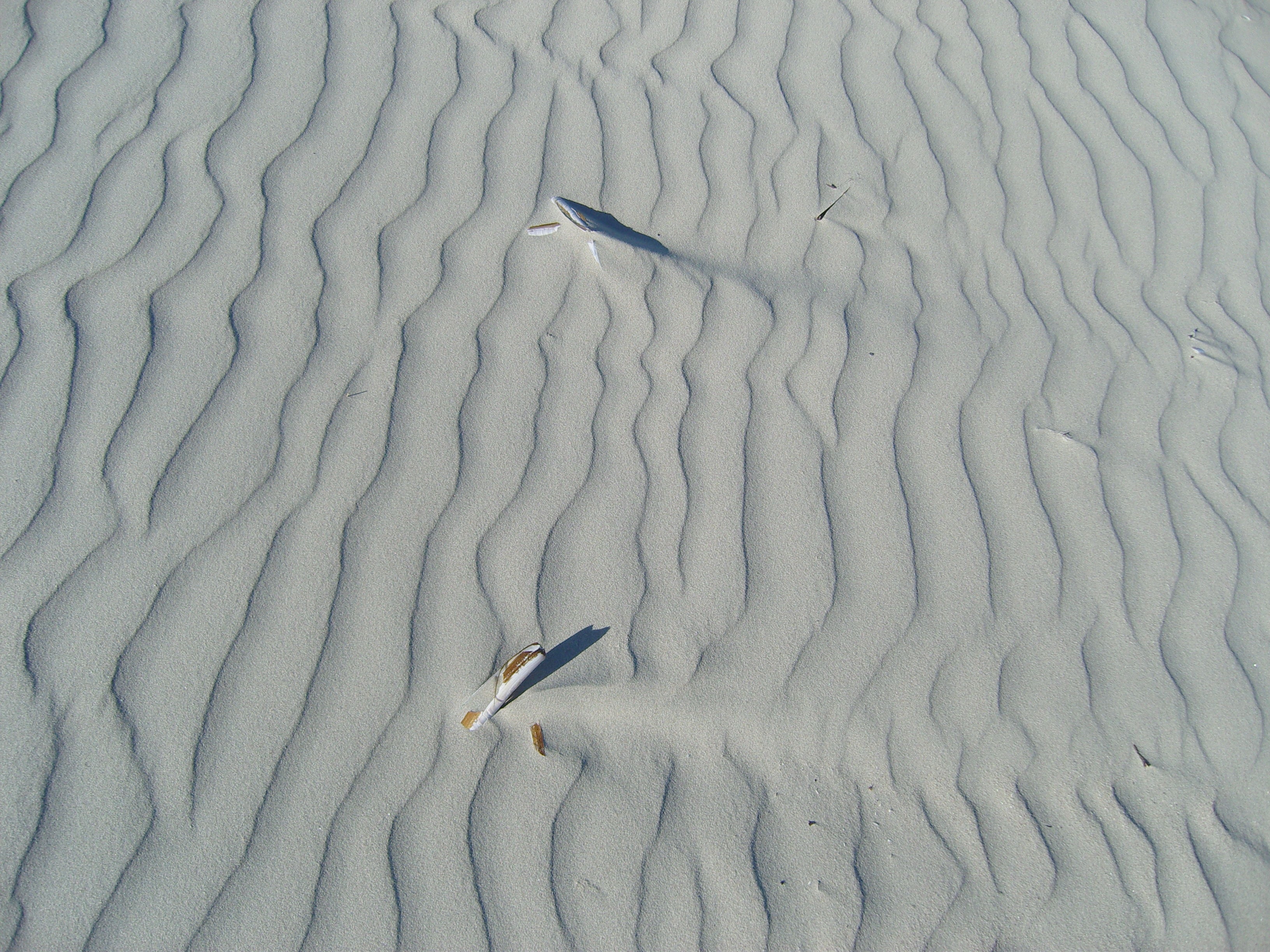grey sand field