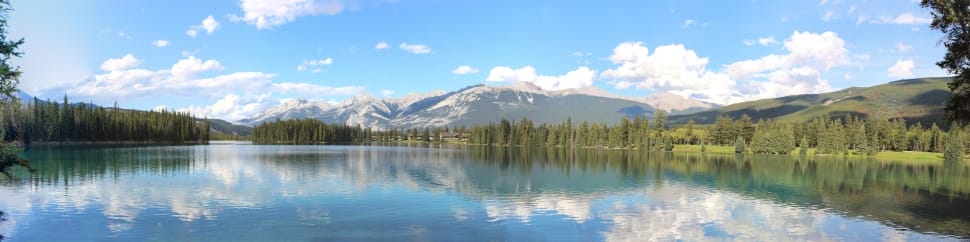 panoramic lake with tree and mountain painting preview