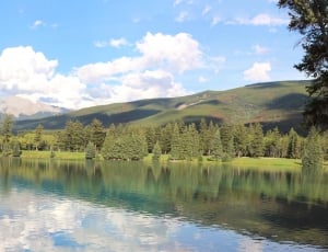 panoramic lake with tree and mountain painting thumbnail