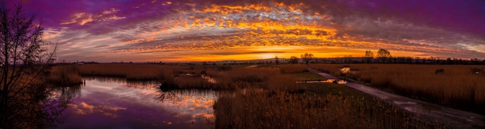 sunset, clouds, grass, lake, reflection, sunset preview