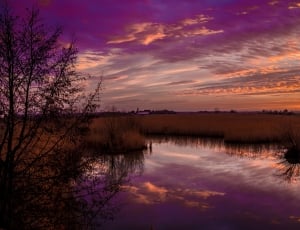 sunset, clouds, grass, lake, reflection, sunset thumbnail