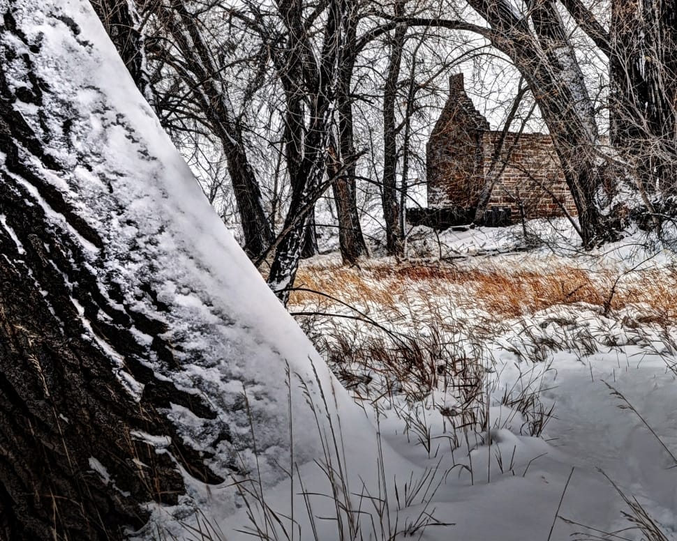 Robert Strauss, Cabin, Fort Collins, snow, winter preview